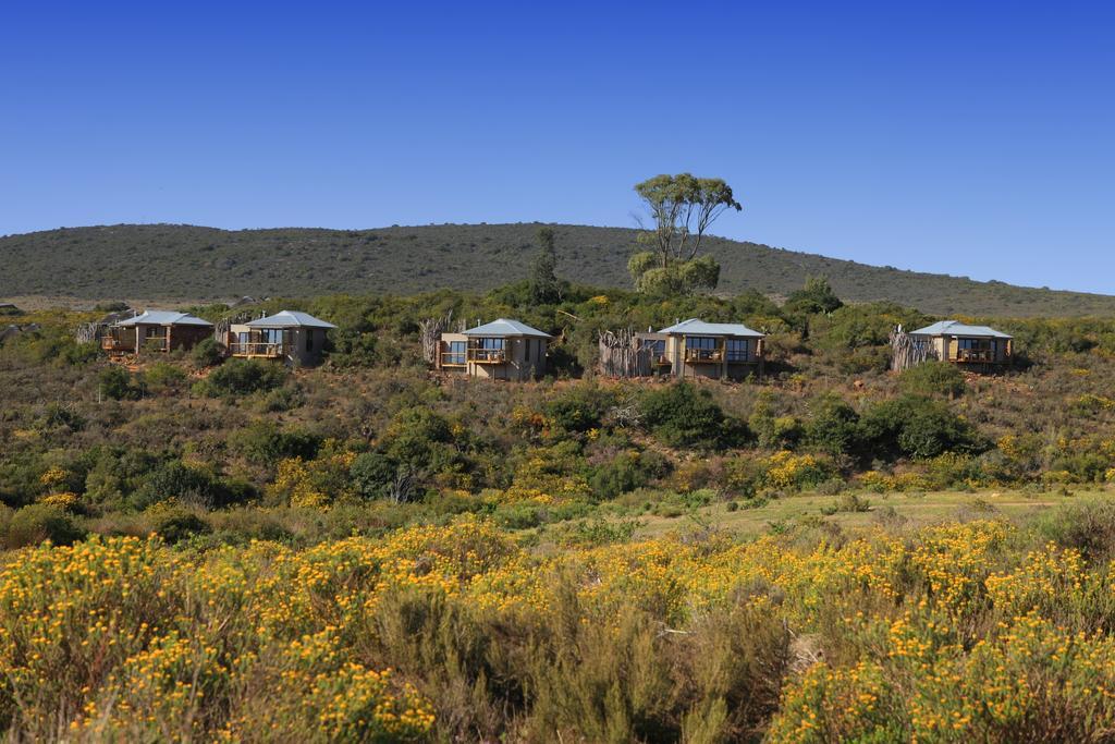 Garden Route Game Lodge Albertinia Exterior photo